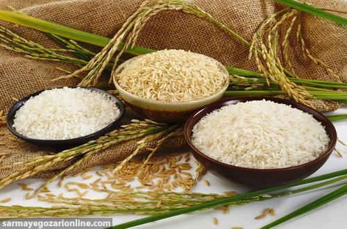 عرضه برنج خارجی در کیسه ایرانی/کشاورز: آمار تولید و کسری برنج وزارتخانه صحیح نیست