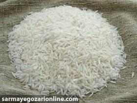 رانت واردات برنج متعلق به بخش‌های دولتی است 