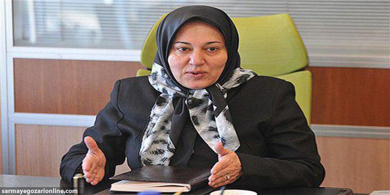 توسعه حضور زنان در اقتصاد ایران، تغییراتی ایجاد کرده است