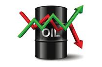 قیمت نفت در پی افزایش فعالیت حفاری آمریکا کم شد