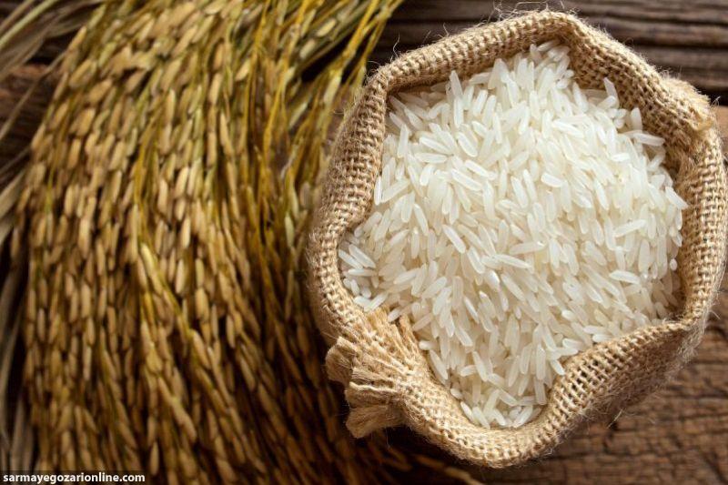 صادرات برنج مصداق بارز رانت و قاچاق است