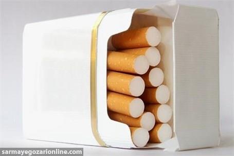  افزایش ۶۱ درصدی مالیات سیگار در کفه درآمدهای مالیاتی