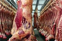 سرانه مصرف گوشت گوسفندی ۴ کیلوگرم کاهش یافت