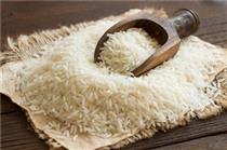 گشایش نماد معاملاتی گواهی سپرده برنج طارم مازندران در بورس کالا