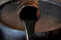  مذاکرات هند برای واردات بلندمدت نفت از گویان