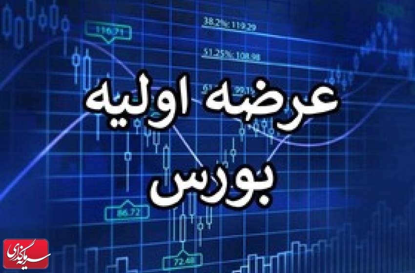 چند عرضه اولیه در بازار سرمایه انجام شد؟