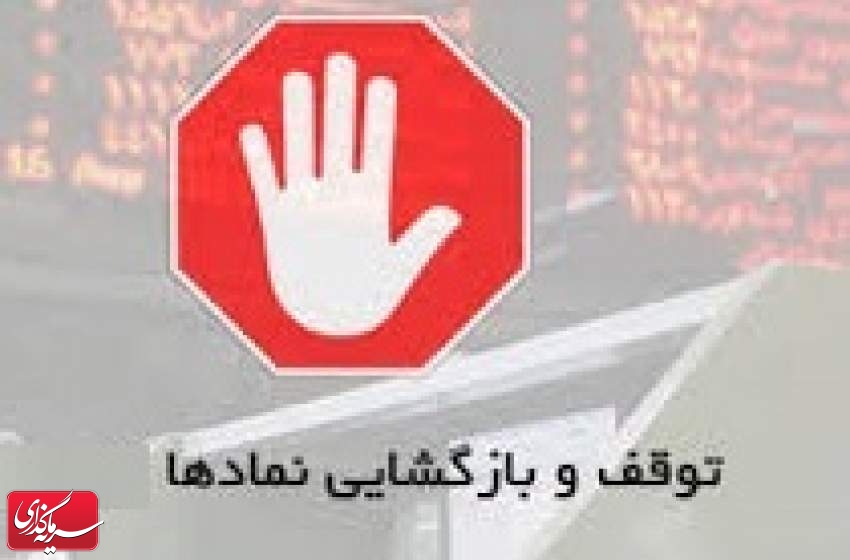 توقف یک ساعته نماد دو سیمانی و 5 شرکت دیگر + رفع گره از 5 سهم