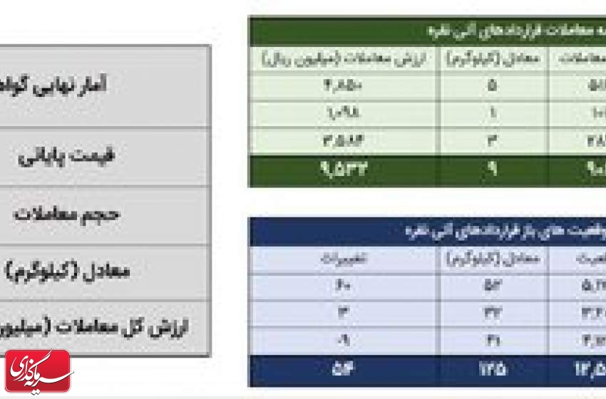 معامله ۱۰۰ کیلوگرم شمش نقره در بورس کالا