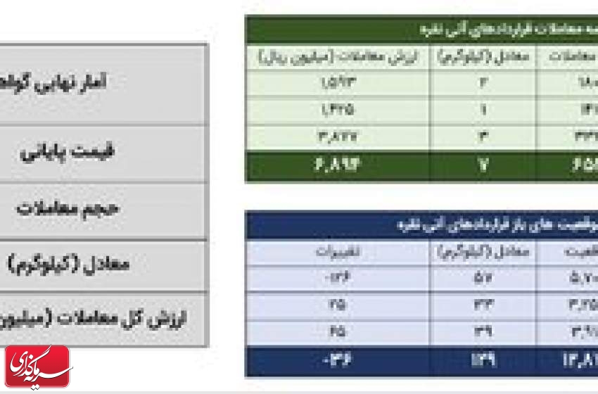 معامله ۱۶ کیلوگرم شمش نقره در بورس کالا