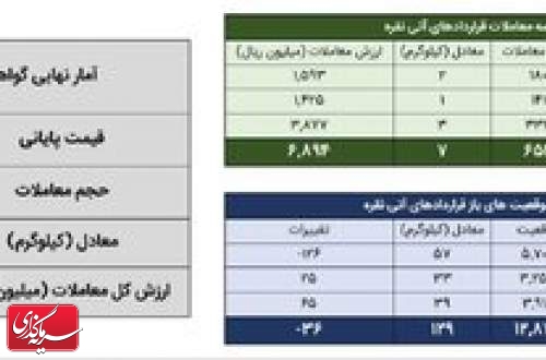 معامله ۱۶ کیلوگرم شمش نقره در بورس کالا