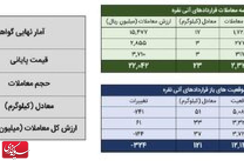 معامله ۴۳ کیلوگرم شمش نقره در بورس کالا